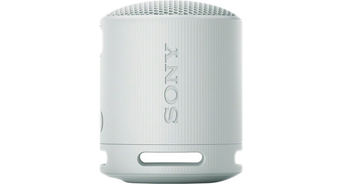 Speaker - Grey
